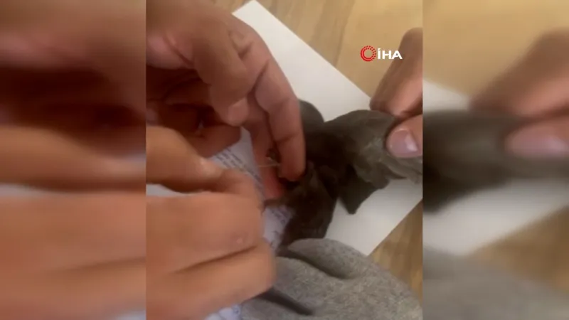 Sivas'ta İtfaiye Operasyonu! Ağlara Takılan Kuş Kurtarıldı!