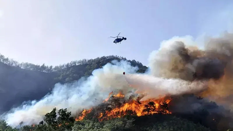 Antalya’da iki noktada orman yangını: Müdahale sürüyor