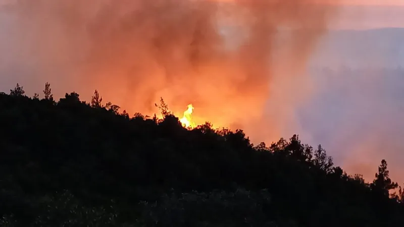 Balıkesir alev alev! Bir mahalle tahliye edildi