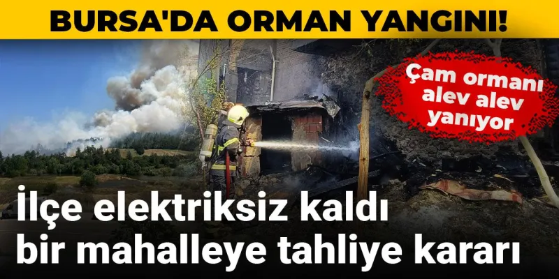 Bursa'da Dehşet! Orman Yangını Büyüyor: Tahliye Kararı!