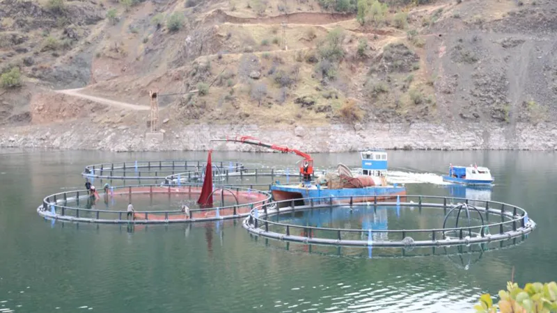 Diyarbakır'dan Somon İhracatı: Denizsiz Kentten Dünya'ya Lezzet!