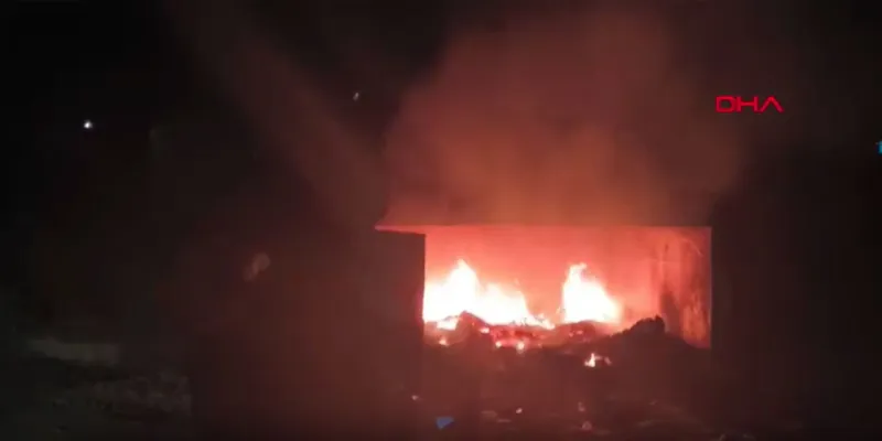 Kars'ta Korkutan Yangın! Elektrik Telleri Tehlikeye Girdi!
