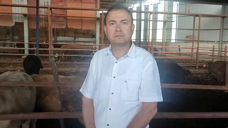 Kurbanlık Dana Faciası! Fotoğraf Çekmek İsterken Canından Oldu