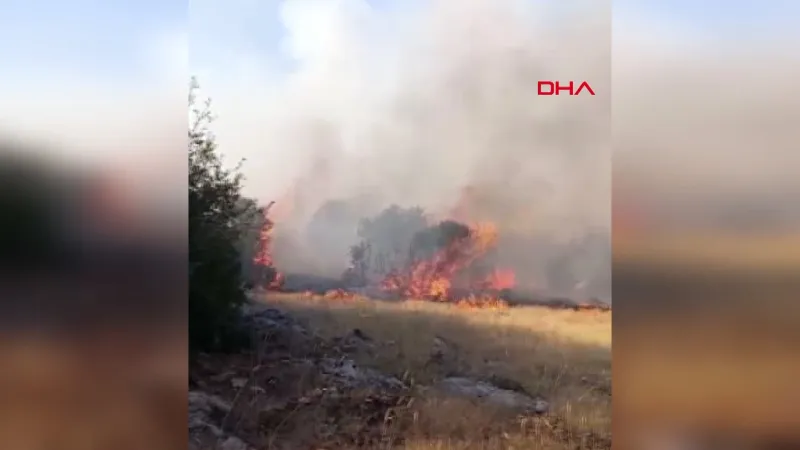 Gaziantep’te makilik yangını