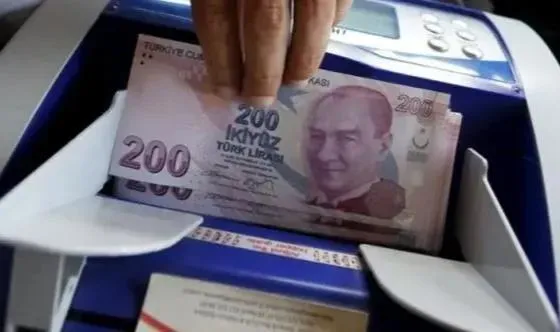 Hazine nakit gerçekleşmeleri