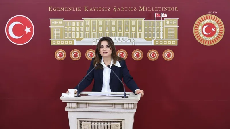 Öcalan'la Görüşen DEM'li Vekil Komisyona Ne Anlatacak? Şok İddialar!