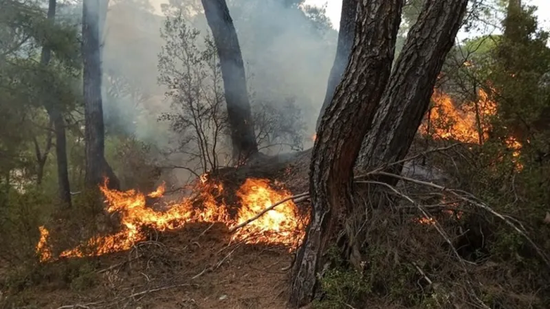 Karabük Ormanları Alevlere Teslim! Köyler Boşaltıldı mı?