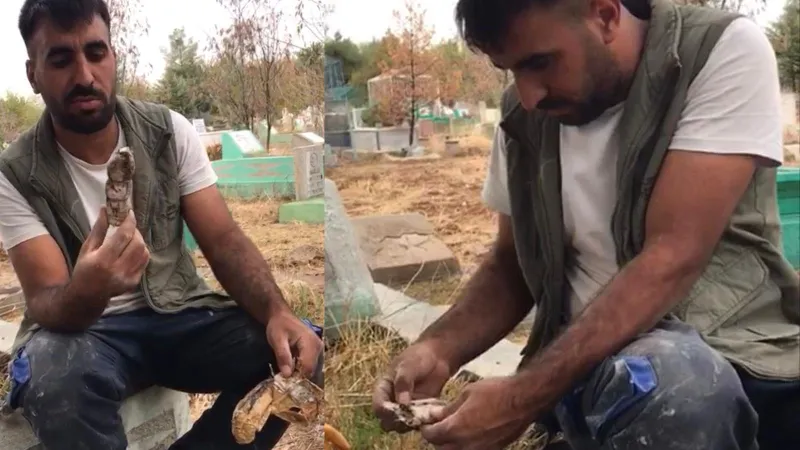 Korku filmi gibi! Mezarlıkta kefenlenmiş oyuncak bebek bulundu