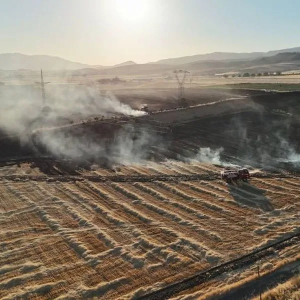 Merzifon'da yangın: 80 dönüm tarım arazisi zarar gördü