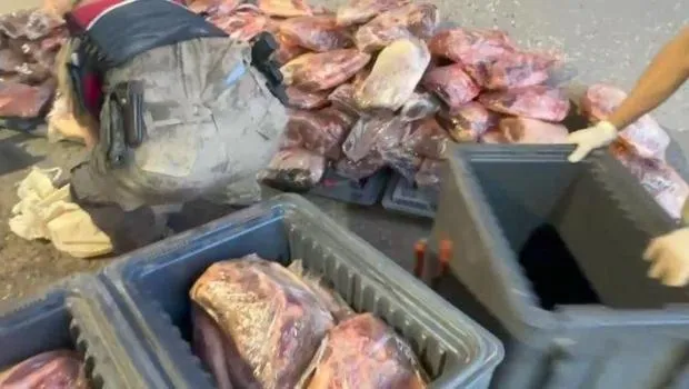 Mide bulandıran görüntü! 1 ton 700 kilo mühürsüz et ele geçirildi