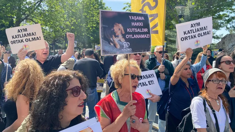 Hayvanseverler AYM Önünde Nöbette! Kanun İptal Mi Olacak?