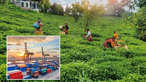 Rize'den ocak-nisan döneminde yapılan çay ihracatı 5,5 milyon doları aştı