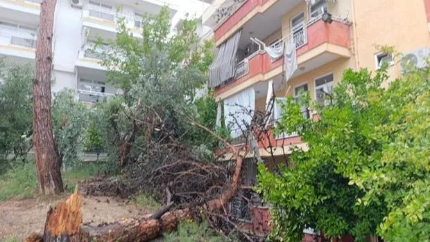 Rüzgar ve yağmura dayanamadı! Binanın üzerine devrildi