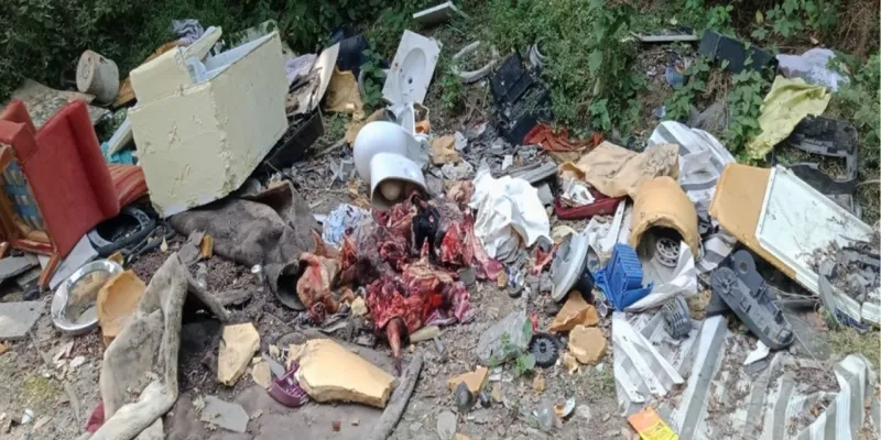 Sakarya'da Orman Katliamı! Kurban Atıklarıyla Çevre Felaketi