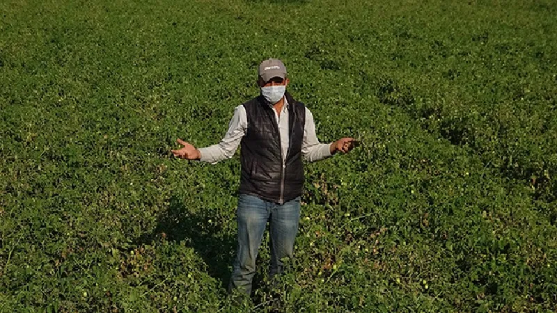 "Tarım üreticisi iflas noktasına geldi!"