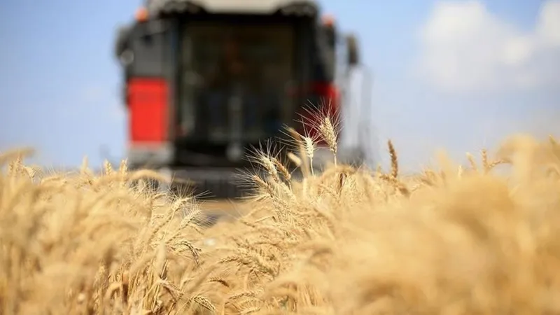 Türkiye FAO Konseyi'ne Seçildi! Dünya Gıda Politikalarında Söz Sahibi mi?