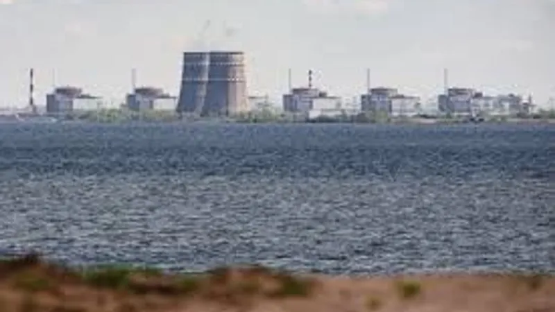 UAEA, Zaporijya Nükleer Güç Santrali'nin tüm dış güç kaynağını kaybettiğini bildirdi