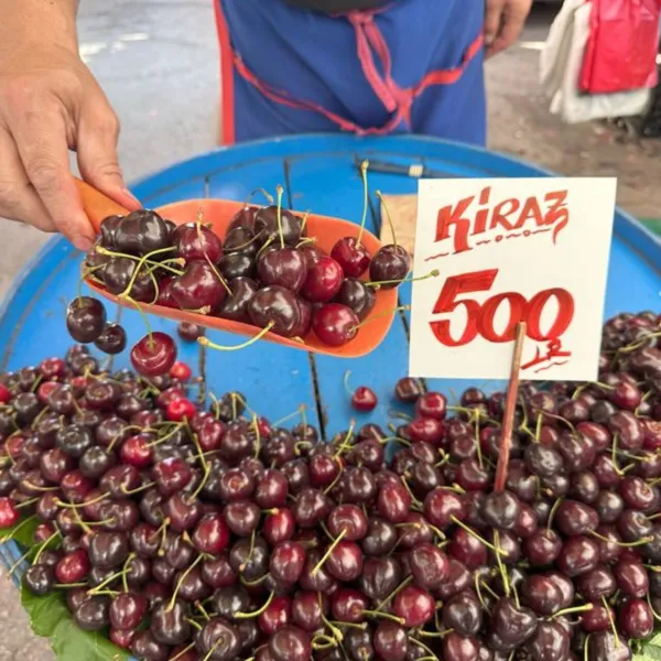 Kiraz Fiyatları Rekor Kırdı! Zirai Don Kirazı Altın Değerinde Yaptı